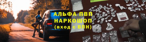 гидра Балахна