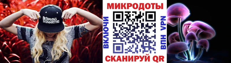 Галлюциногенные грибы Psilocybe  Свирск 